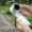 Portable Folding Turbo Fan (5 Speed)